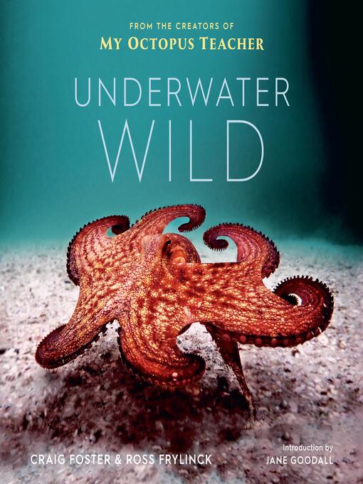 Title details for The Underwater Wild by Craig Foster - Available